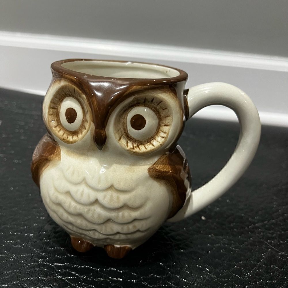 World Market Brown Surprise Owl Coffee Mug